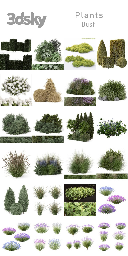 3DSky - Plants - Bush 3DSky - Plants - Bush