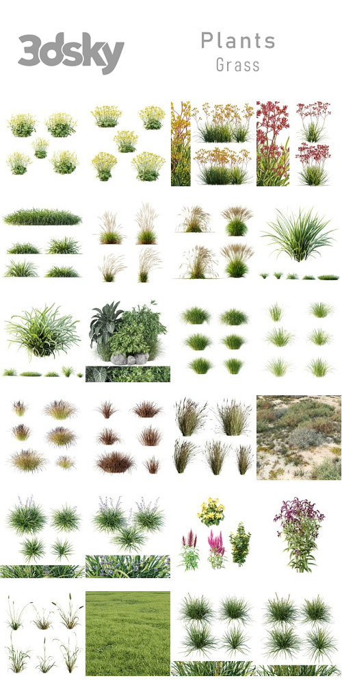 3DSky - Plants - Grass 3DSky - Plants - Grass