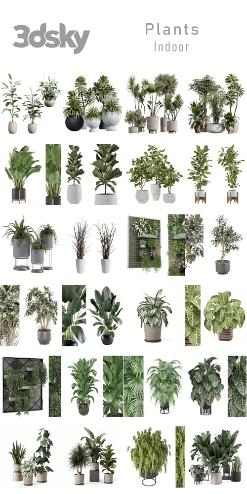 3DSky - Plants - Indoor Part 3 3DSky - Plants - Indoor Part 3
