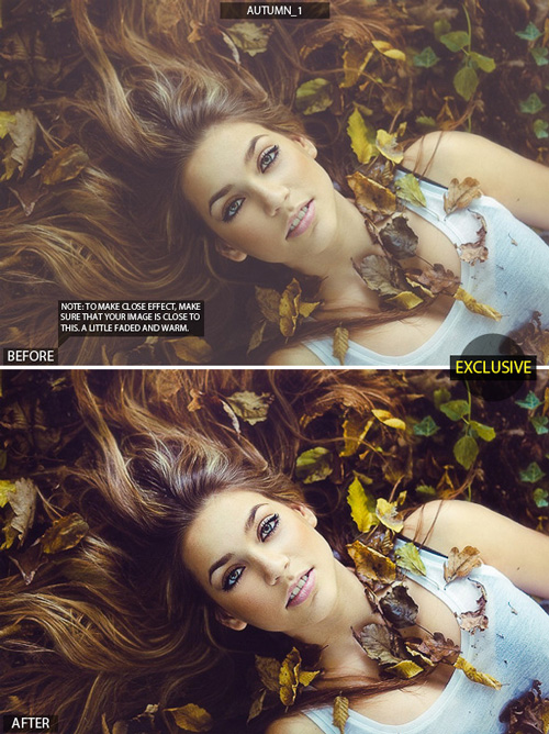 17 HQ Autumn Presets 9068619 17 HQ Autumn Presets 9068619