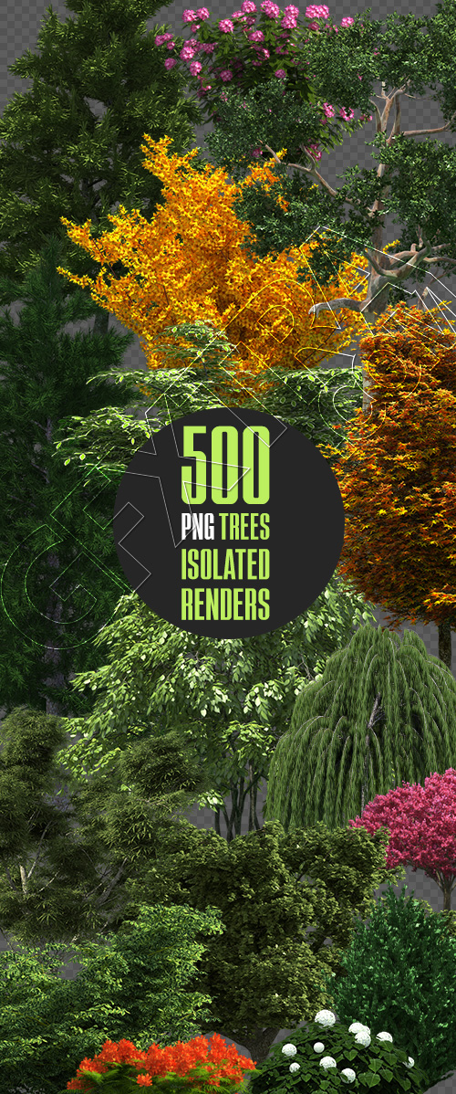 500 Isolated PNG Tree Renders 500 Isolated PNG Tree Renders