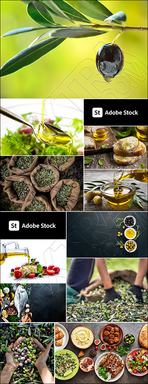 Olive & Olive Oil #3, 30xJPG Olive & Olive Oil #3, 30xJPG