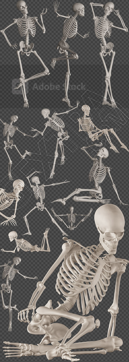 Skeleton Posing 3D Render Illustrations 20xPNG Skeleton Posing 3D Render Illustrations 20xPNG