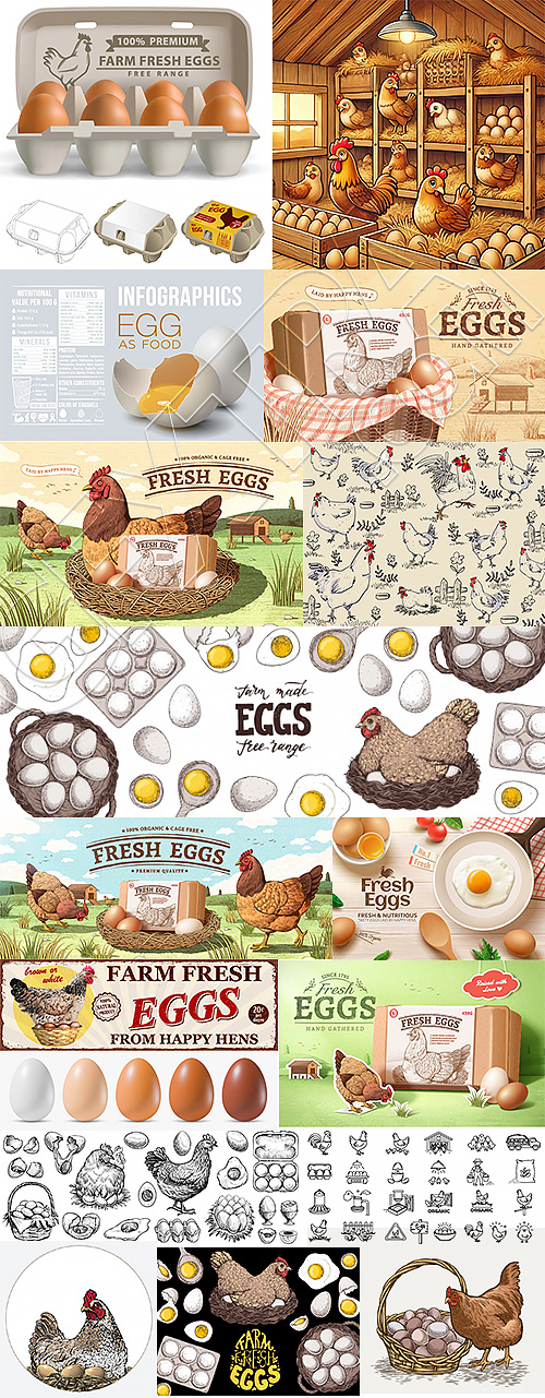 Chicken Egg AD Templates & Design Elements 26xAI Chicken Egg AD Templates & Design Elements 26xAI