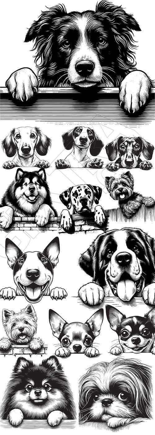 Hand Drawn Dog Vector Sketches #1, 25xAI Hand Drawn Dog Vector Sketches #1, 25xAI