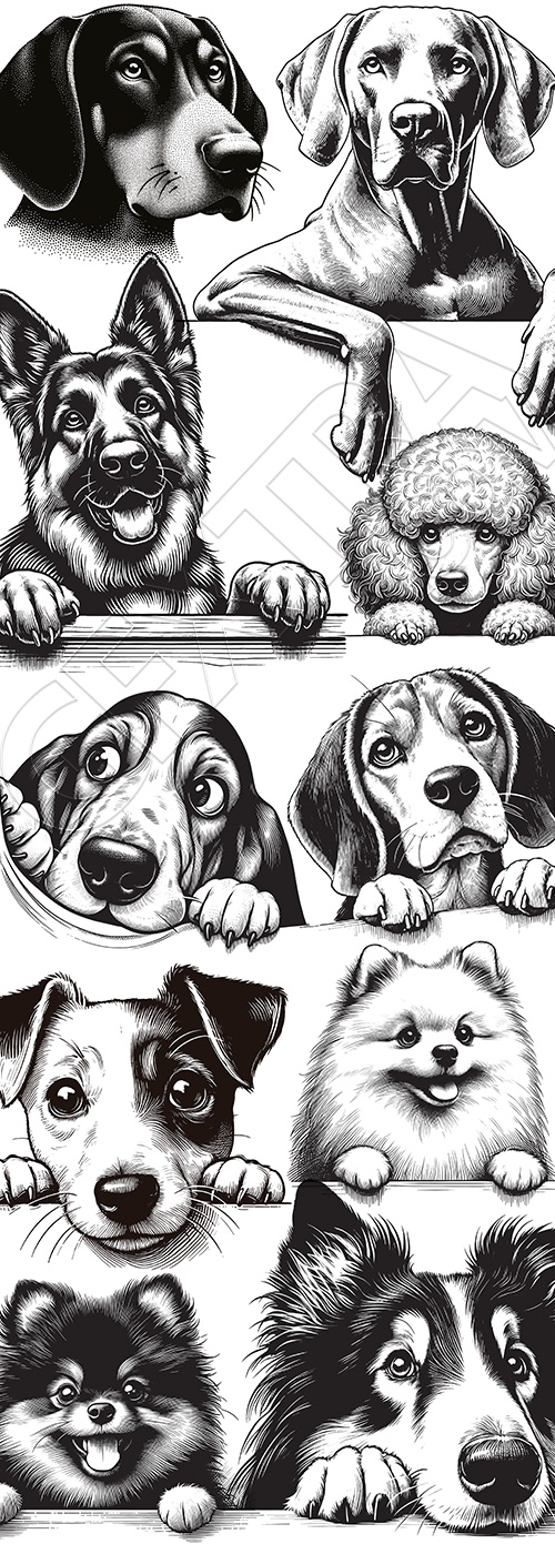 Hand Drawn Dog Vector Sketches #3, 25xAI Hand Drawn Dog Vector Sketches #3, 25xAI
