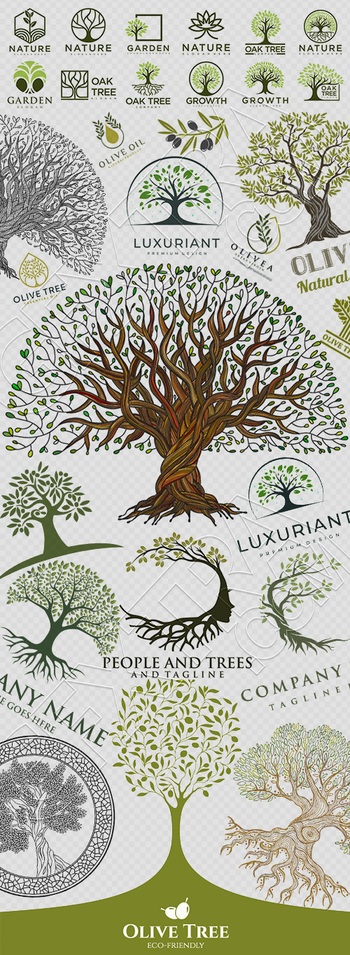 Olive Tree Design Elements #3, 25xAI Olive Tree Design Elements #3, 25xAI
