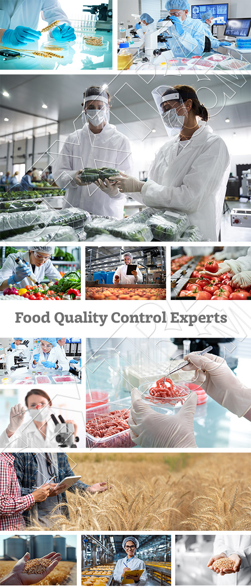 Food Quality Control Experts 32xJPEG Food Quality Control Experts 32xJPEG