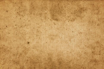 White Canvases on an Easel 25xJPEG White Canvases on an Easel 25xJPEG