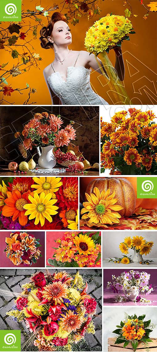 Autumn Flowers Bouquet 25xJPG Autumn Flowers Bouquet 25xJPG