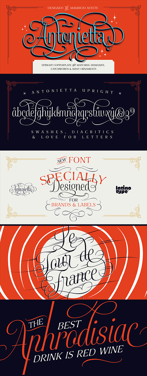 Antonietta Font Family 7xOTF Antonietta Font Family 7xOTF