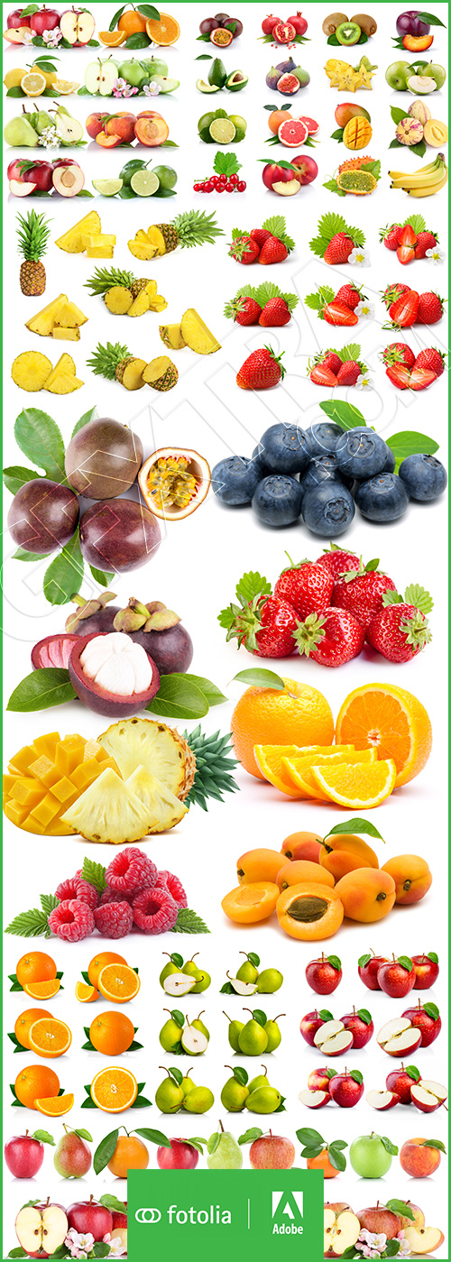 Fruits & Berries Collection 76xJPG Fruits & Berries Collection 76xJPG
