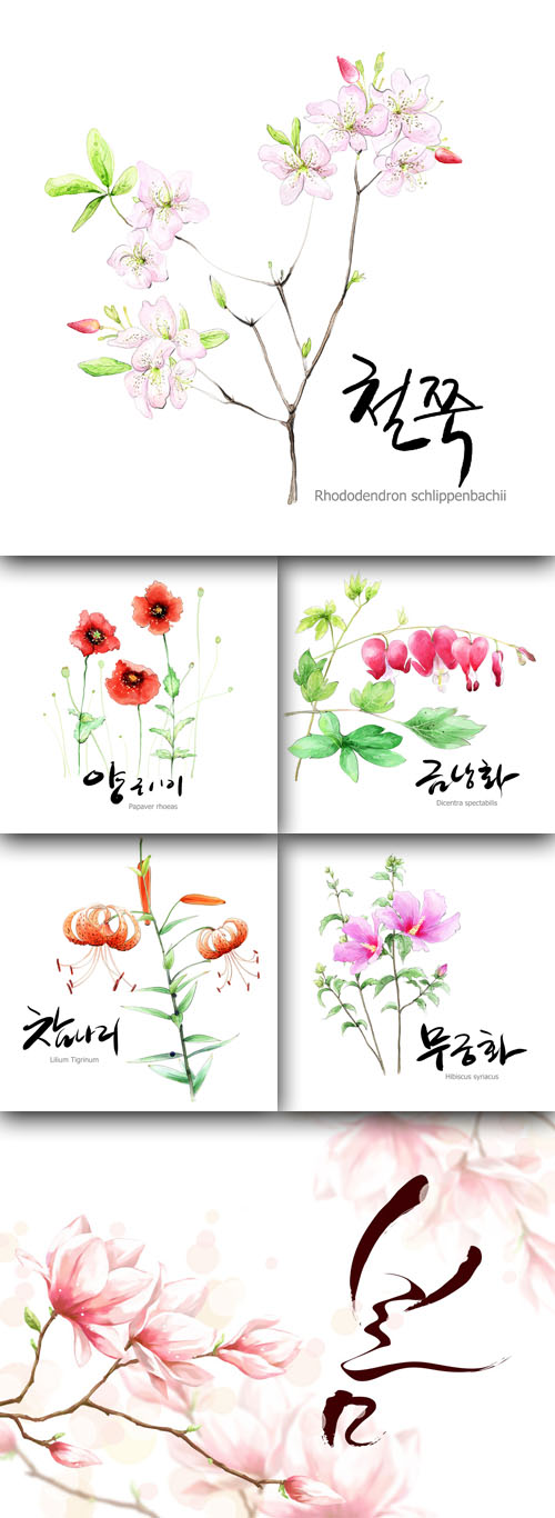 Flower backgrounds pack 15