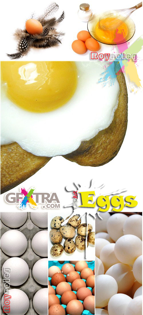 Eggs - ClipArt