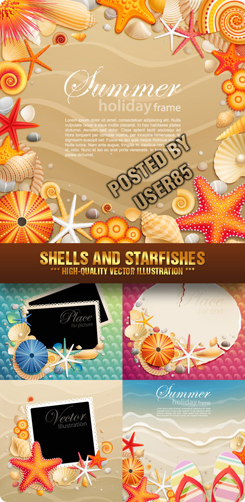 Stock Vector - Shells and Starfishes