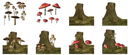 Scraps - Stump and Fungi 8xPNG