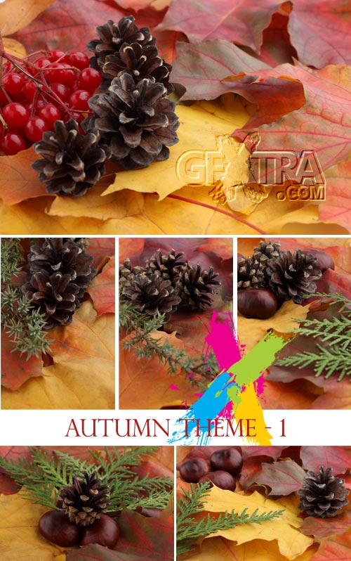 Stock Images - Autumn Theme-1, 6xJPGs