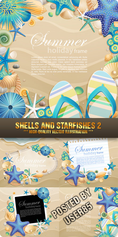 Stock Vector - Shells and Starfishes 2