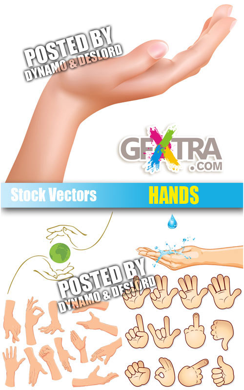 Hands - Stock Vectors