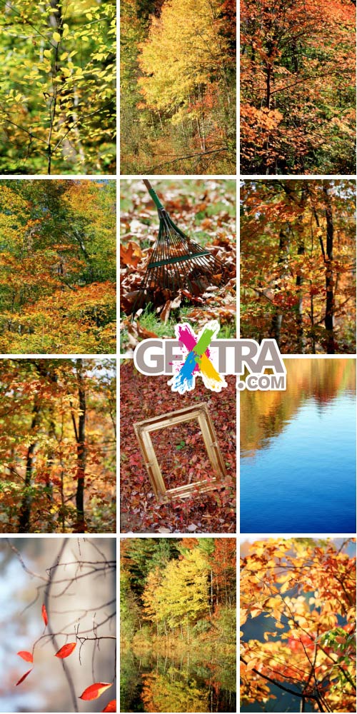 ThinkStock V815 Autumn Color