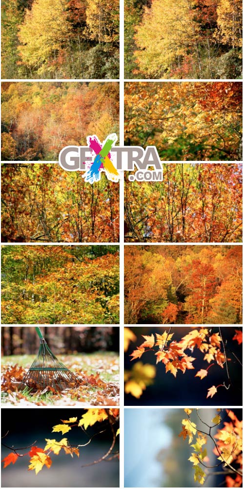 ThinkStock V815 Autumn Color