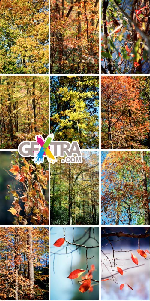 ThinkStock V815 Autumn Color