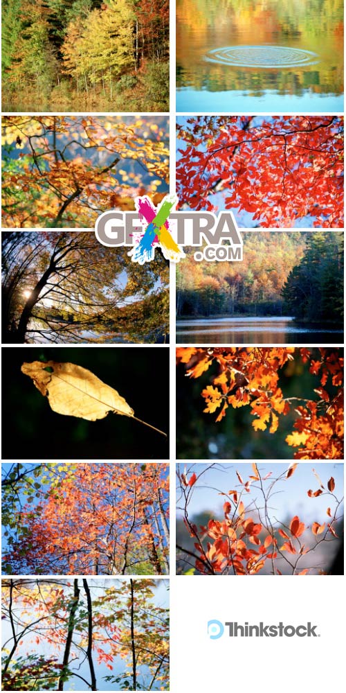 ThinkStock V815 Autumn Color