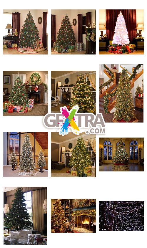 Christmas Trees & Interiors, 50xJPGs