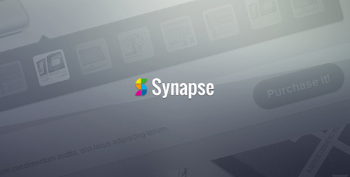 ThemeForest - Synapse - Corporate HTML Theme - Rip