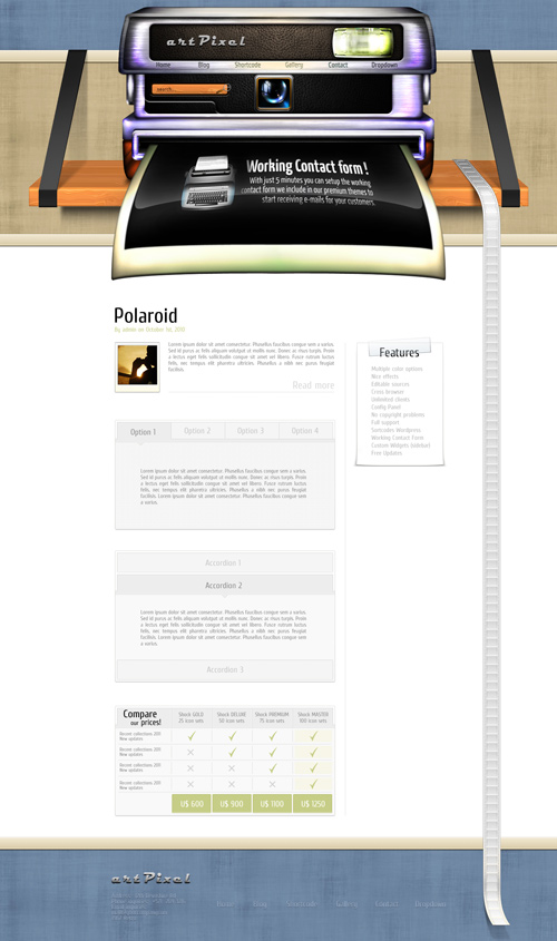 WordPress Theme - Polaroid