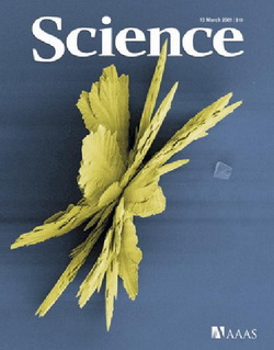 Science - All Issues 2009