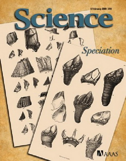 Science - All Issues 2009