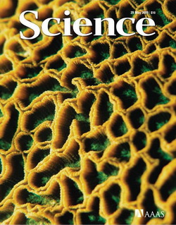 Science - All Issues 2009