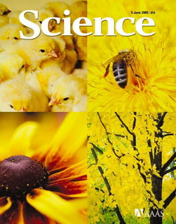 Science - All Issues 2009