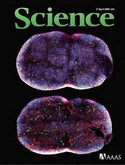 Science - All Issues 2009