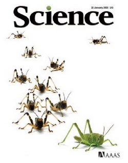 Science - All Issues 2009