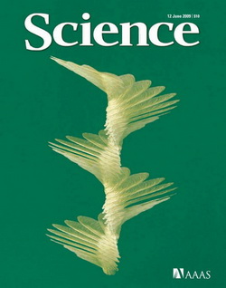 Science - All Issues 2009