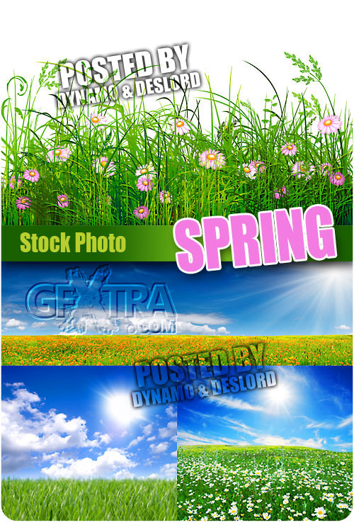 Spring - UHQ Stock Photo