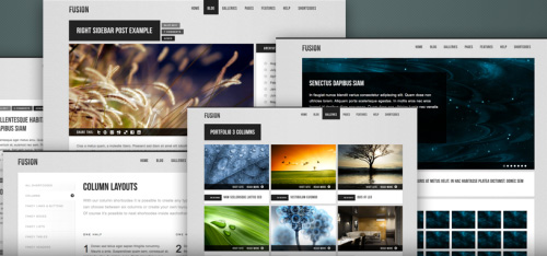 MySiteMyWay - Fusion v1.7 for Wordpress 3.x