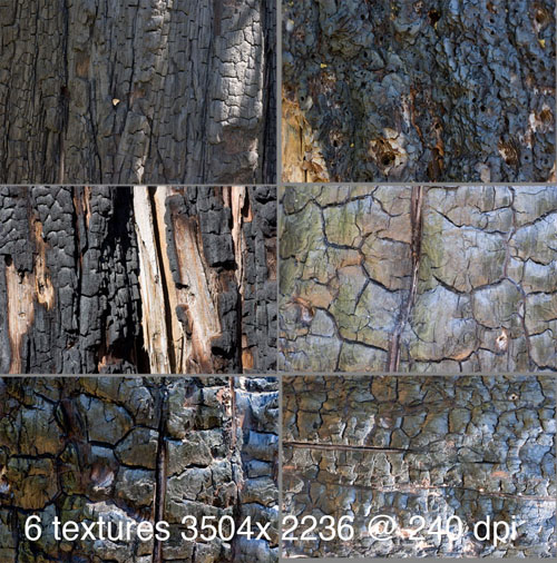 Charred Wood Stock Textures