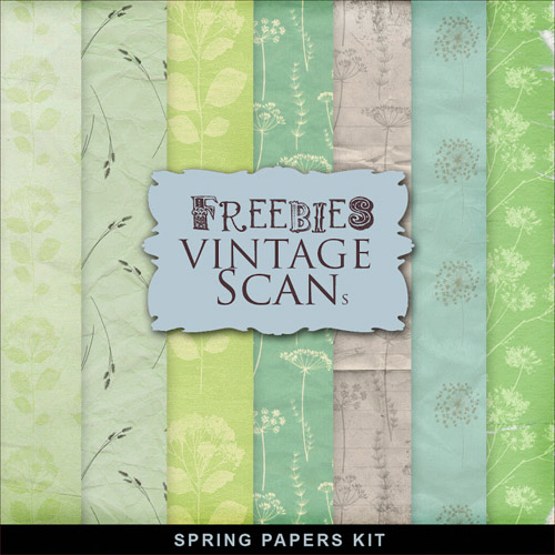 Textures - Old Vintage Backgrounds - Colored Style With Flower Pattern 15