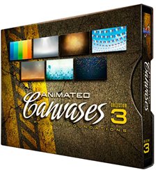 Animated Canvases Collection 03: Perfect Foundations 2xDVDs