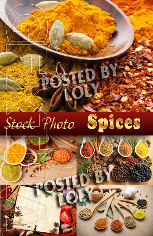 Spices - Stock Photo