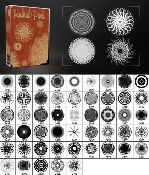 Radial Pack 50 Elements Brushes