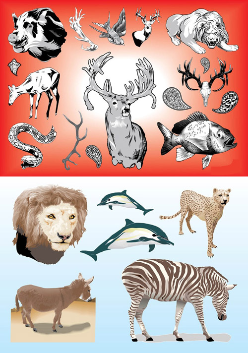 Realistic Animals Vectors