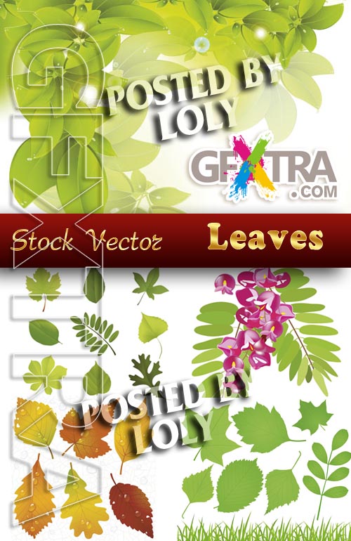 Leaves in the vector - Stock Vector