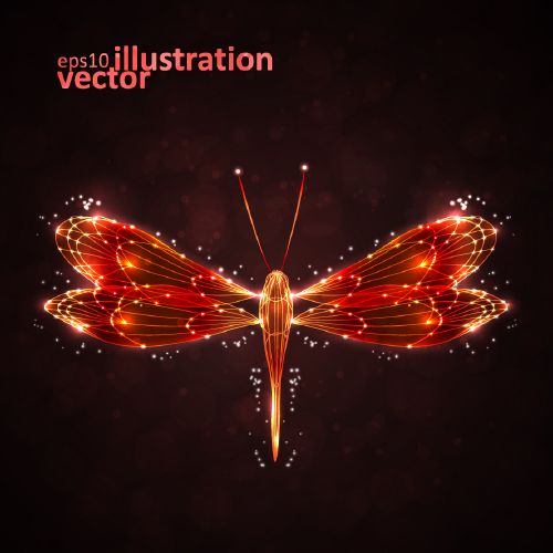 Fantastic Vectors! - Shutterstock 50xEPS