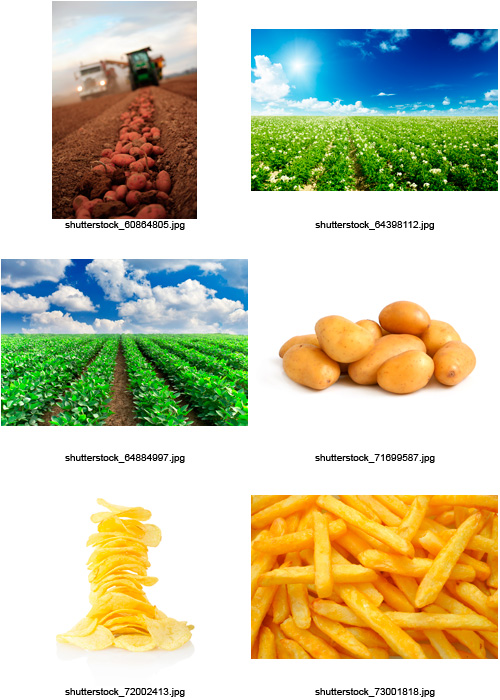 Amazing SS - Potatoes, 25xJPGs