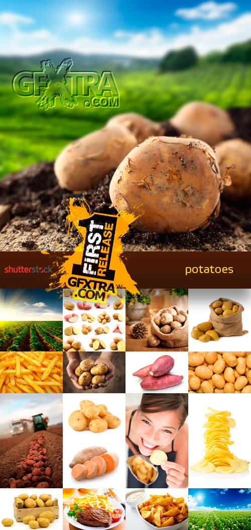 Amazing SS - Potatoes, 25xJPGs