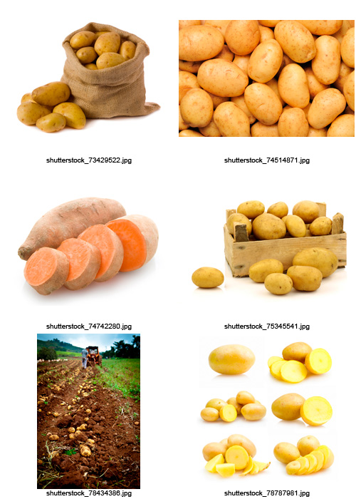 Amazing SS - Potatoes, 25xJPGs